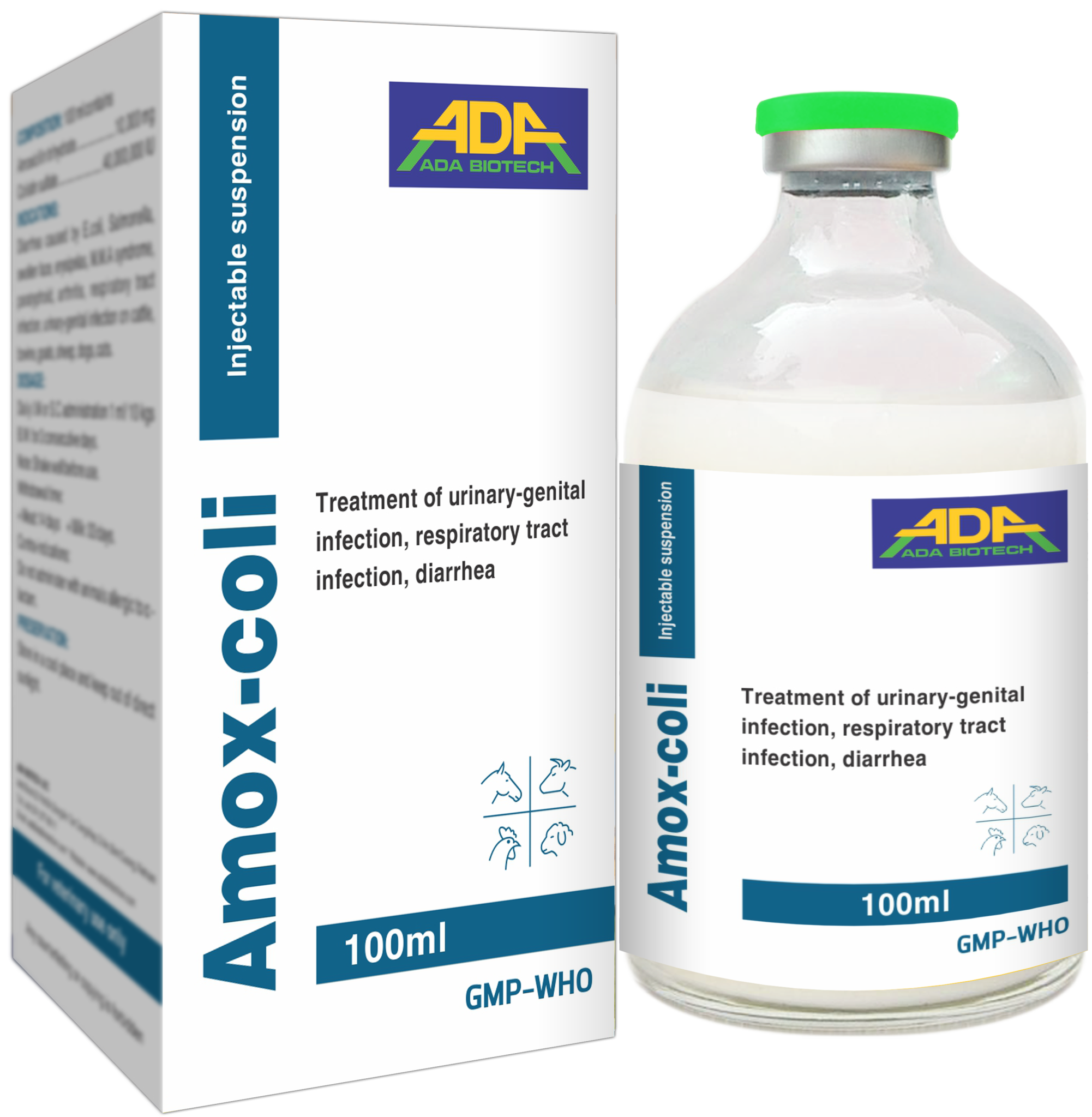 AMOX-COLI