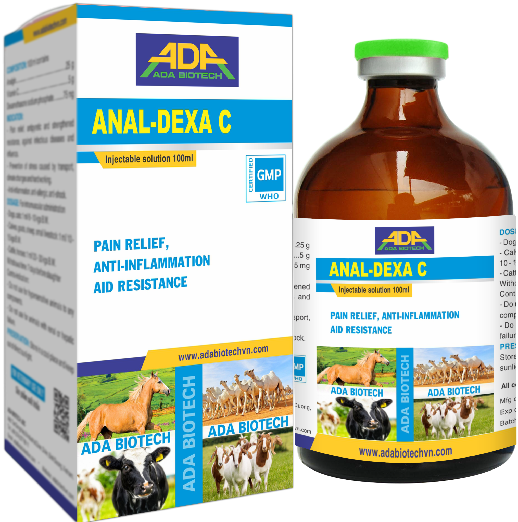ANAL-DEXA C