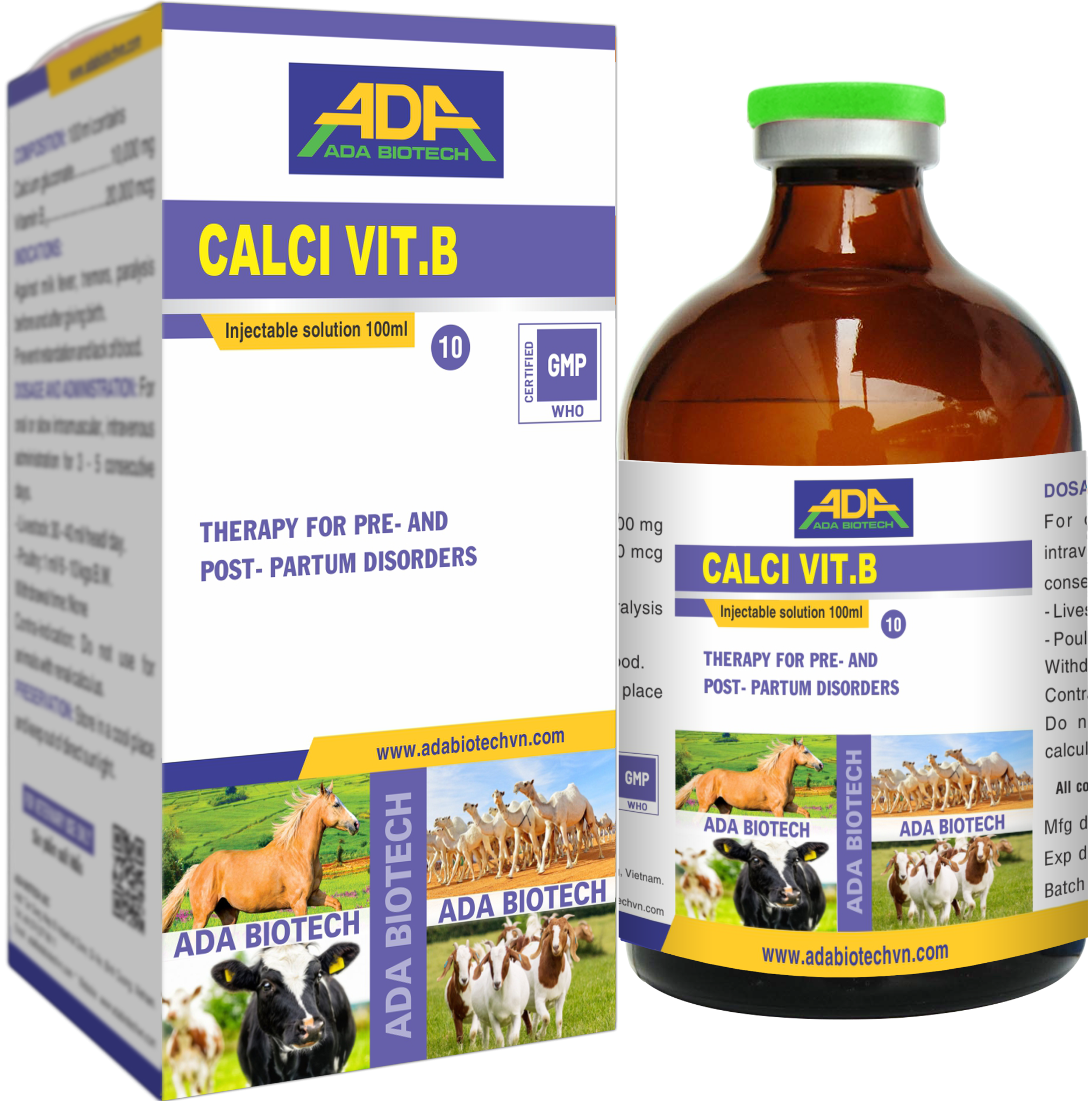 CALCI VIT.B 10
