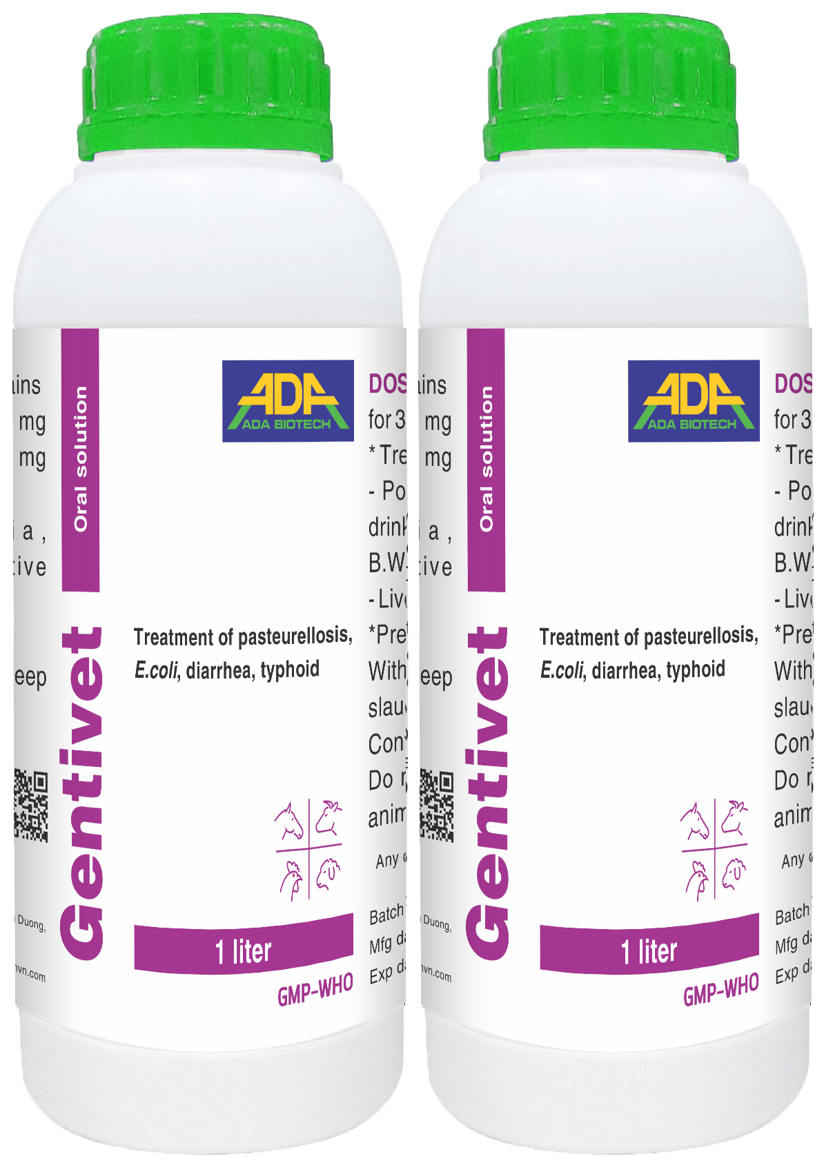 GENTIVET