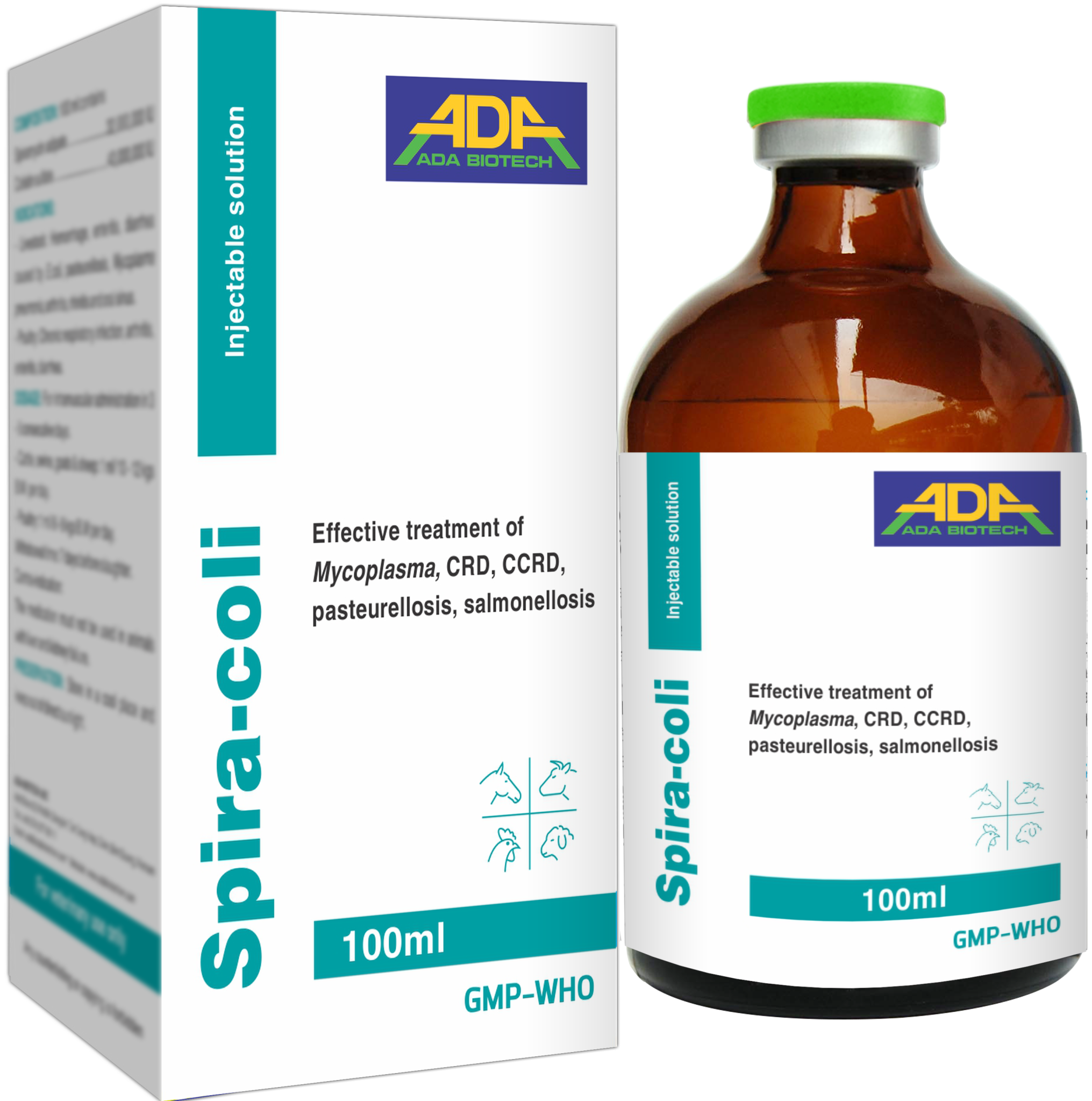 SPIRA-COLI